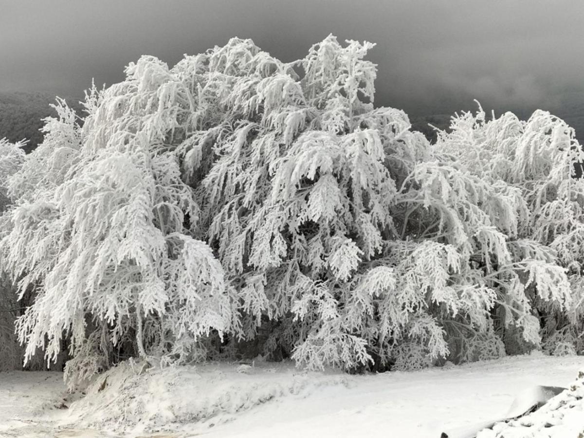 Krystyna * Bystre (Lesko)